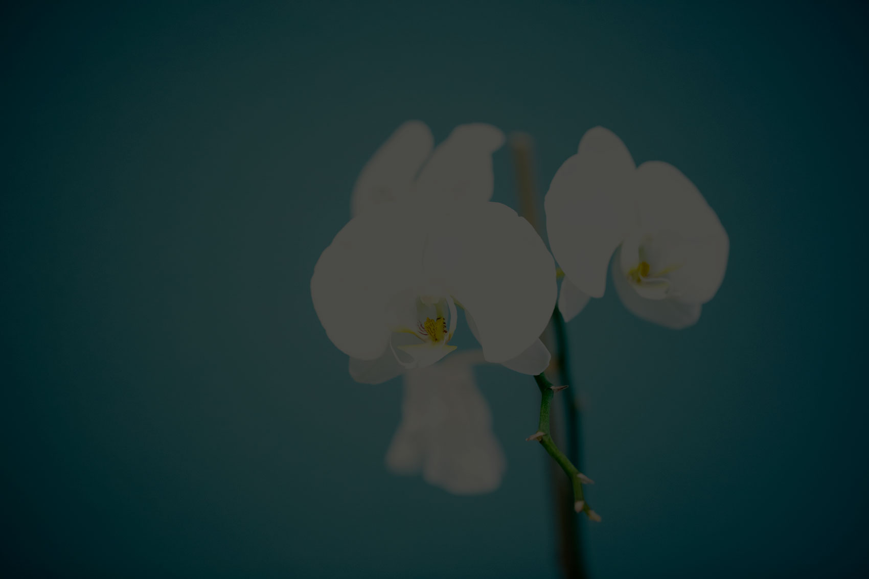 Hand Tendon Treatment San Francisco